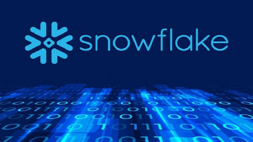 Role of Snowflake Optimization