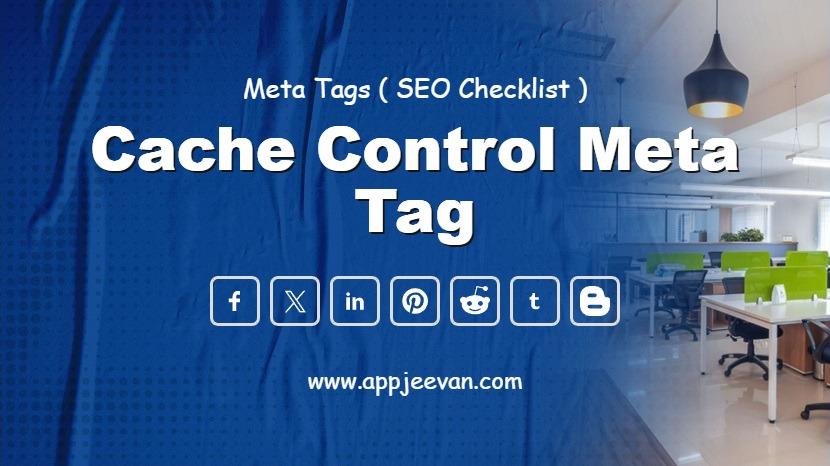 Cache Control Meta Tag