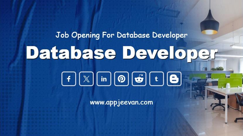 Database Developer