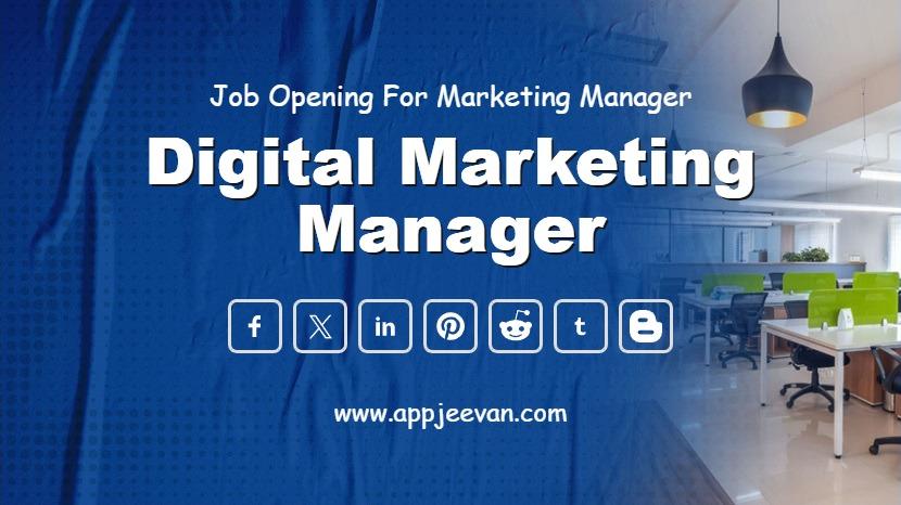 Digital Marketing Expert