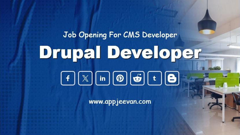 Drupal Developer