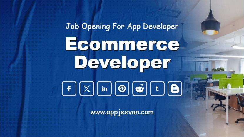 Ecommerce Developer