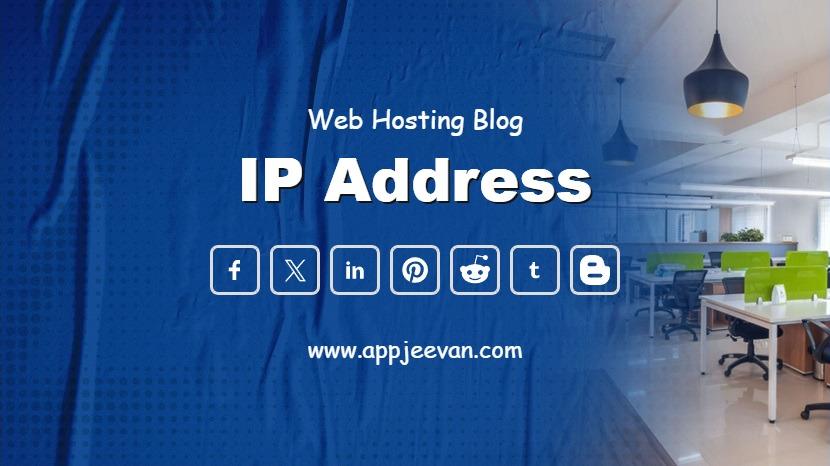IP Address