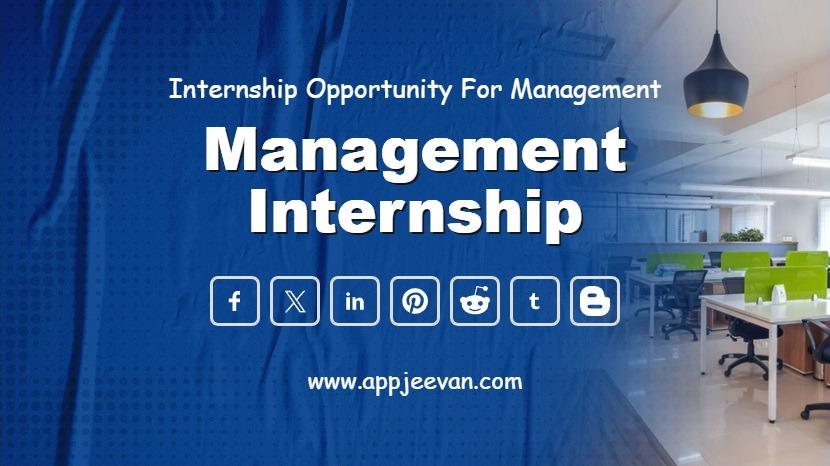 Management Internship