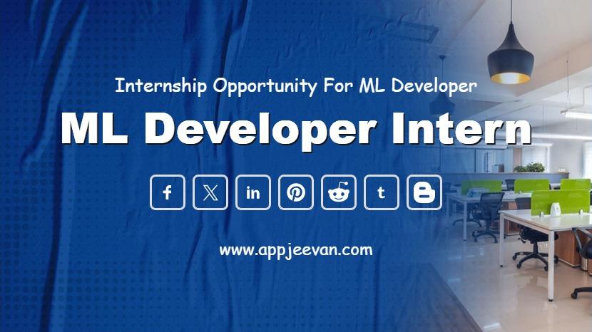 ML Developer Intern