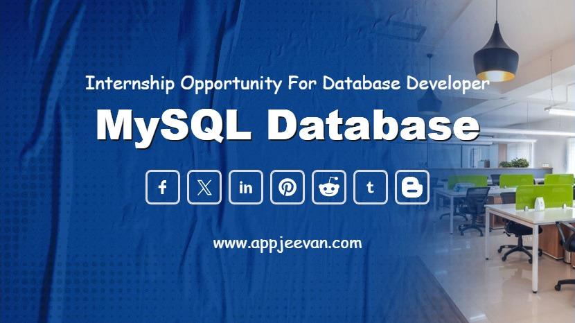 MySQL Database Course