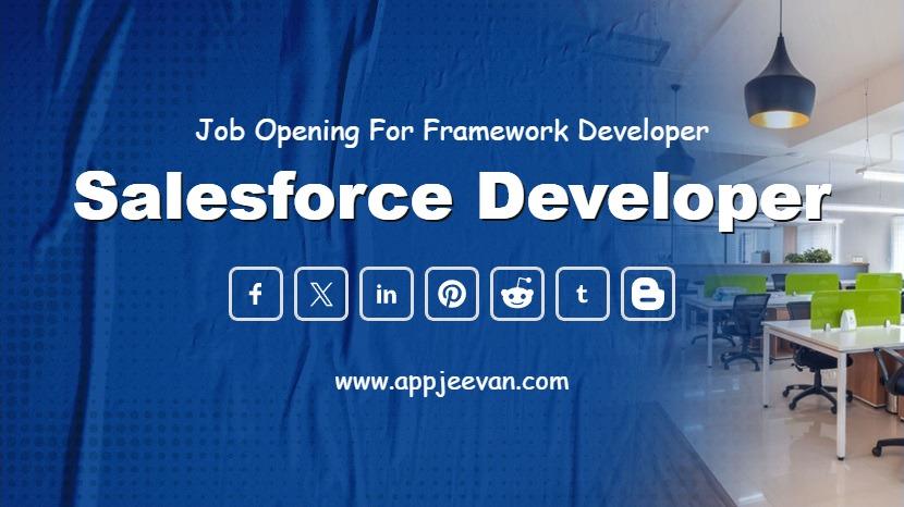Salesforce Developer