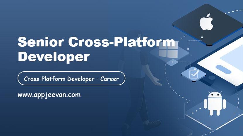 Senior Cross-Platform Developer