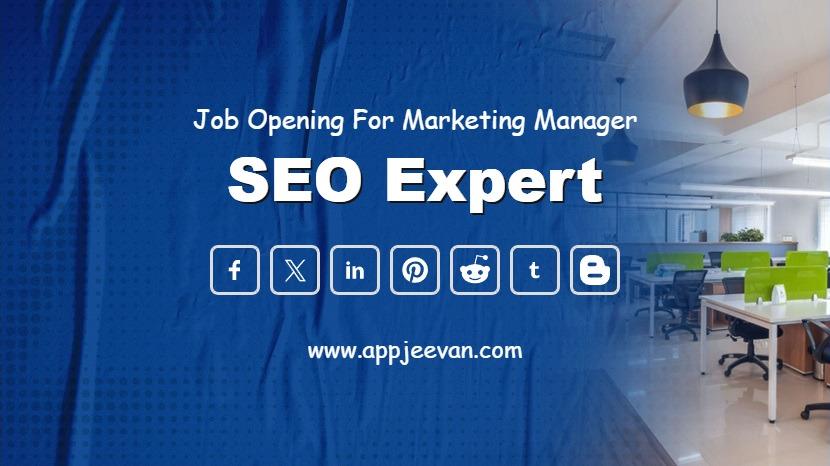 SEO Expert