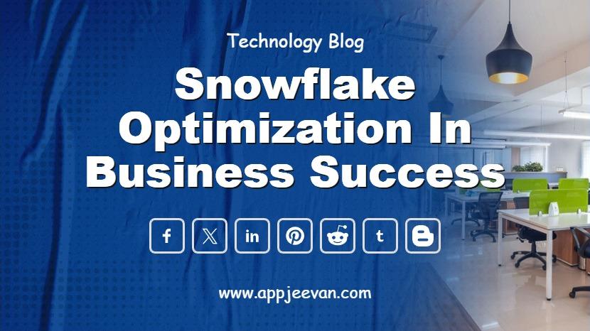 Snowflake Optimization in Business Success