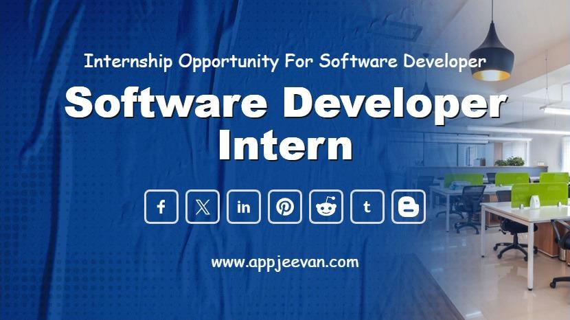 Software Developer Intern