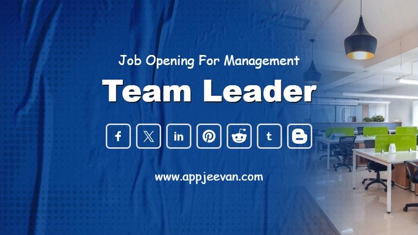 Team Leader