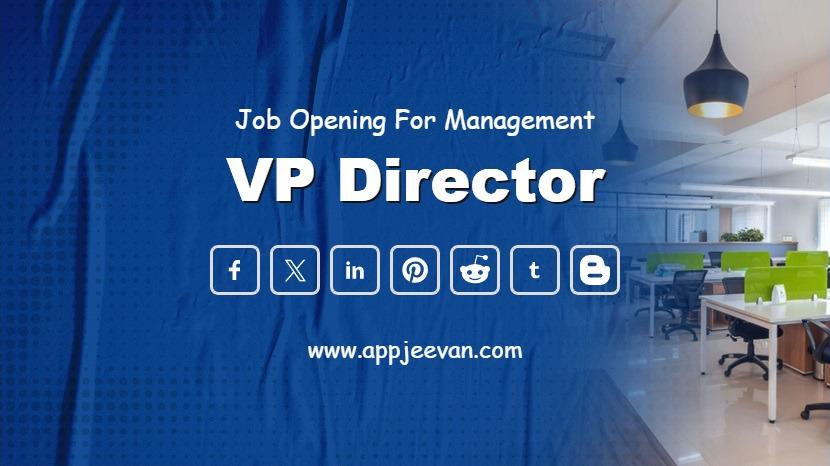 VP Director