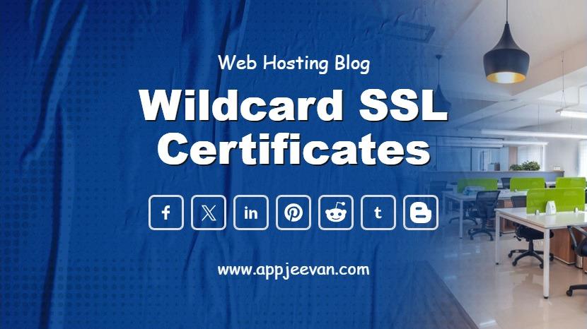 Wildcard SSL Certificates