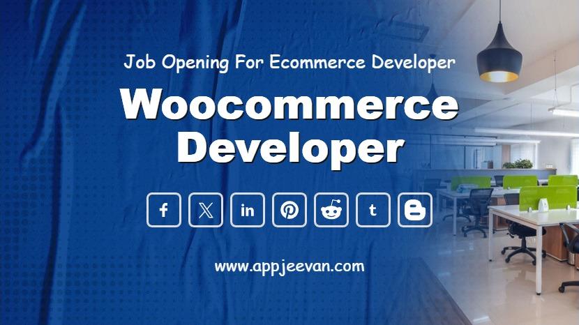 Woocommerce Web Developer