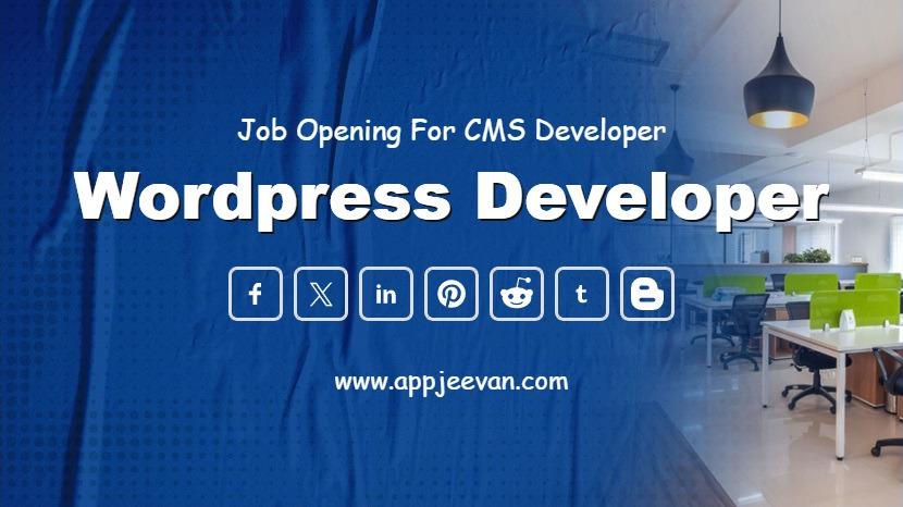 Wordpress Web Developer